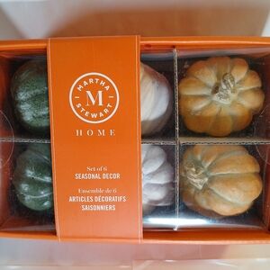 Martha Stewart Seasonal Decor Set of 6 Orange White Green pumkimps  New in box